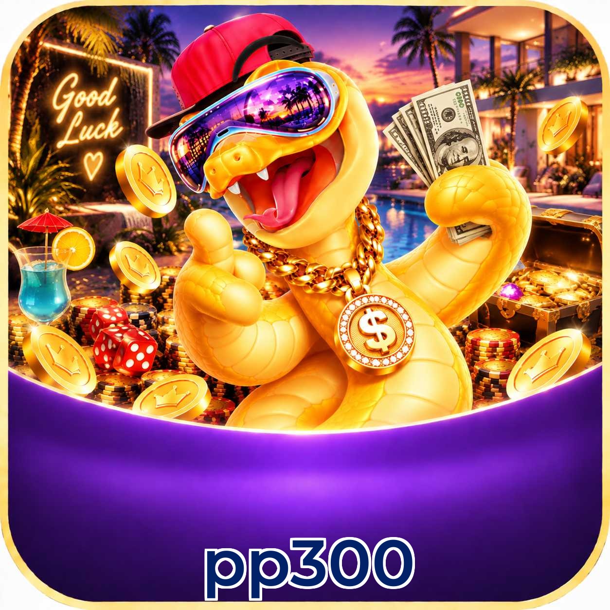 pp300