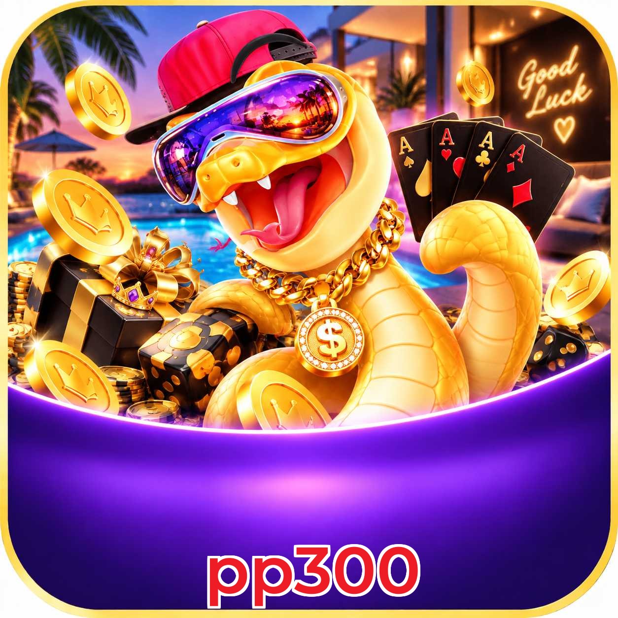 Ferramentas de Sucesso pp300
