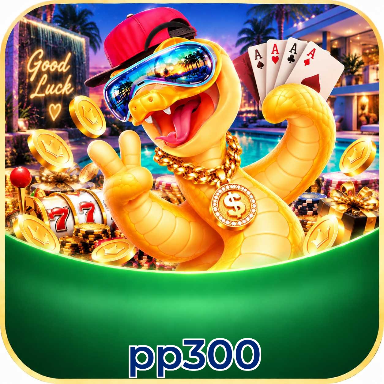 pp300