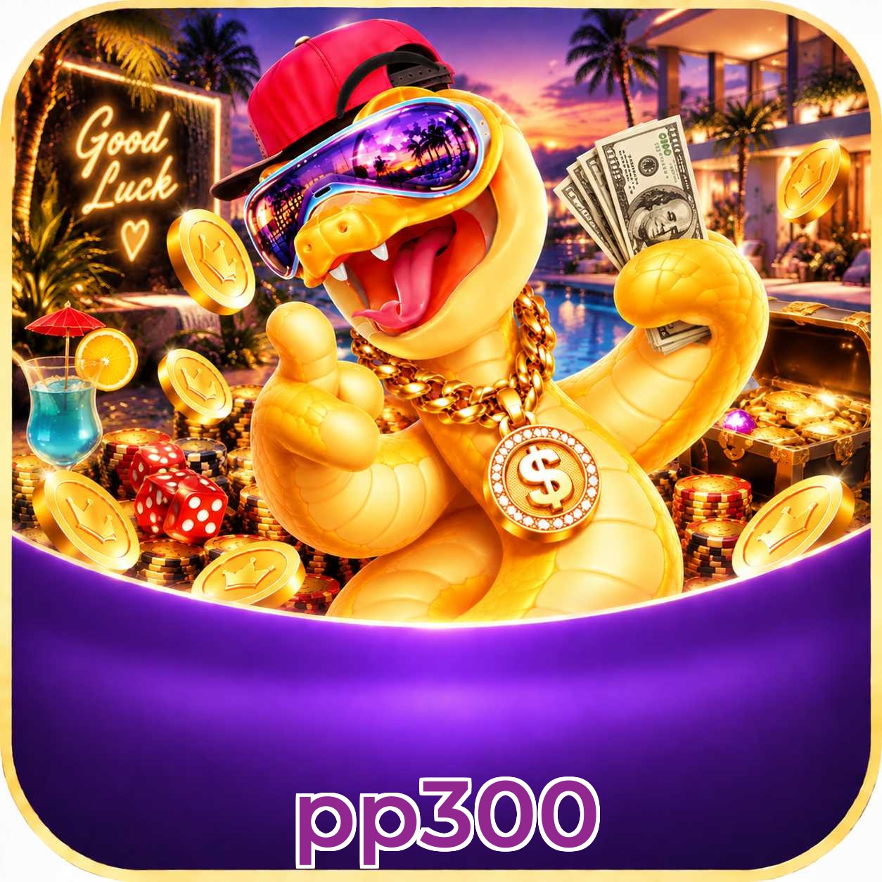 pp300