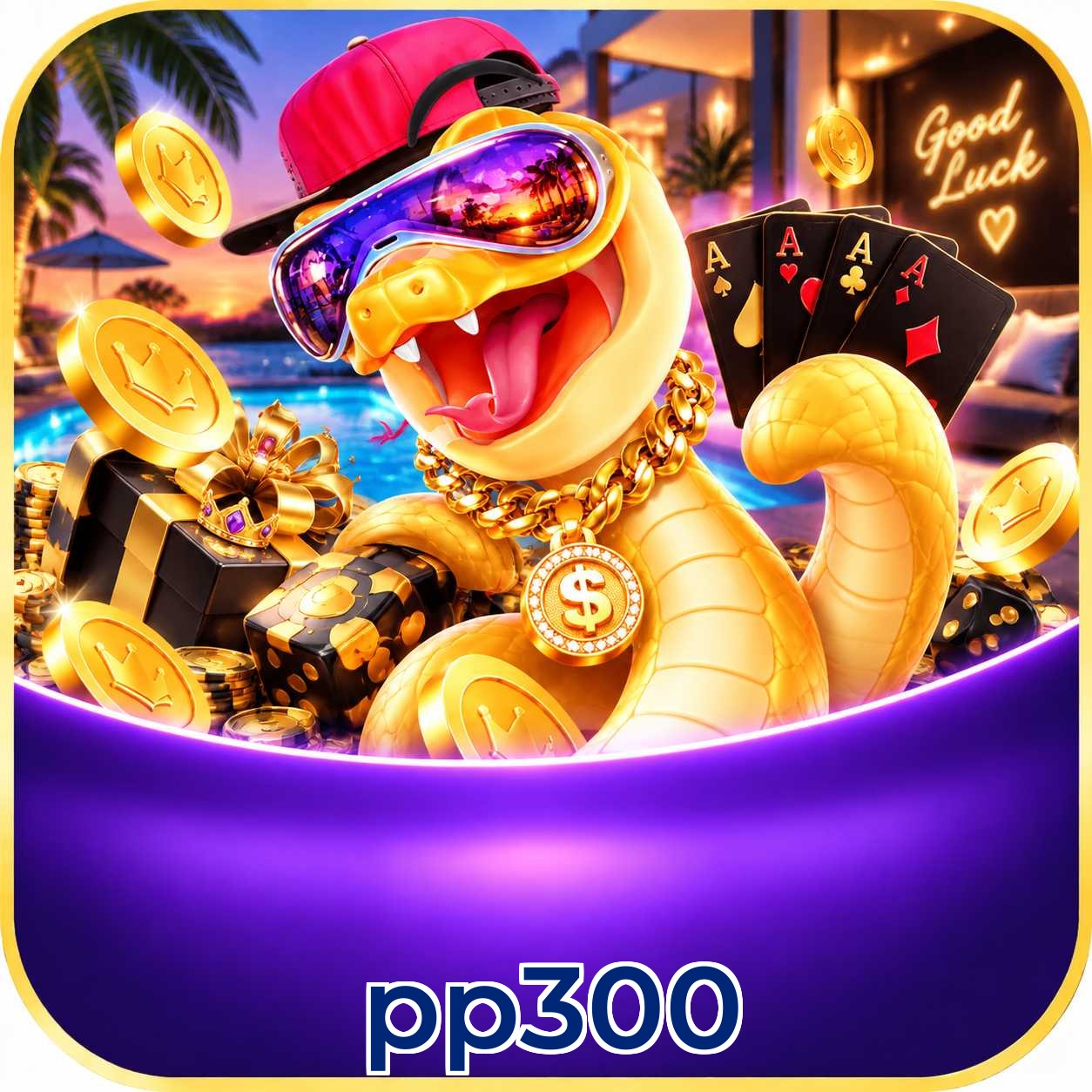 pp300